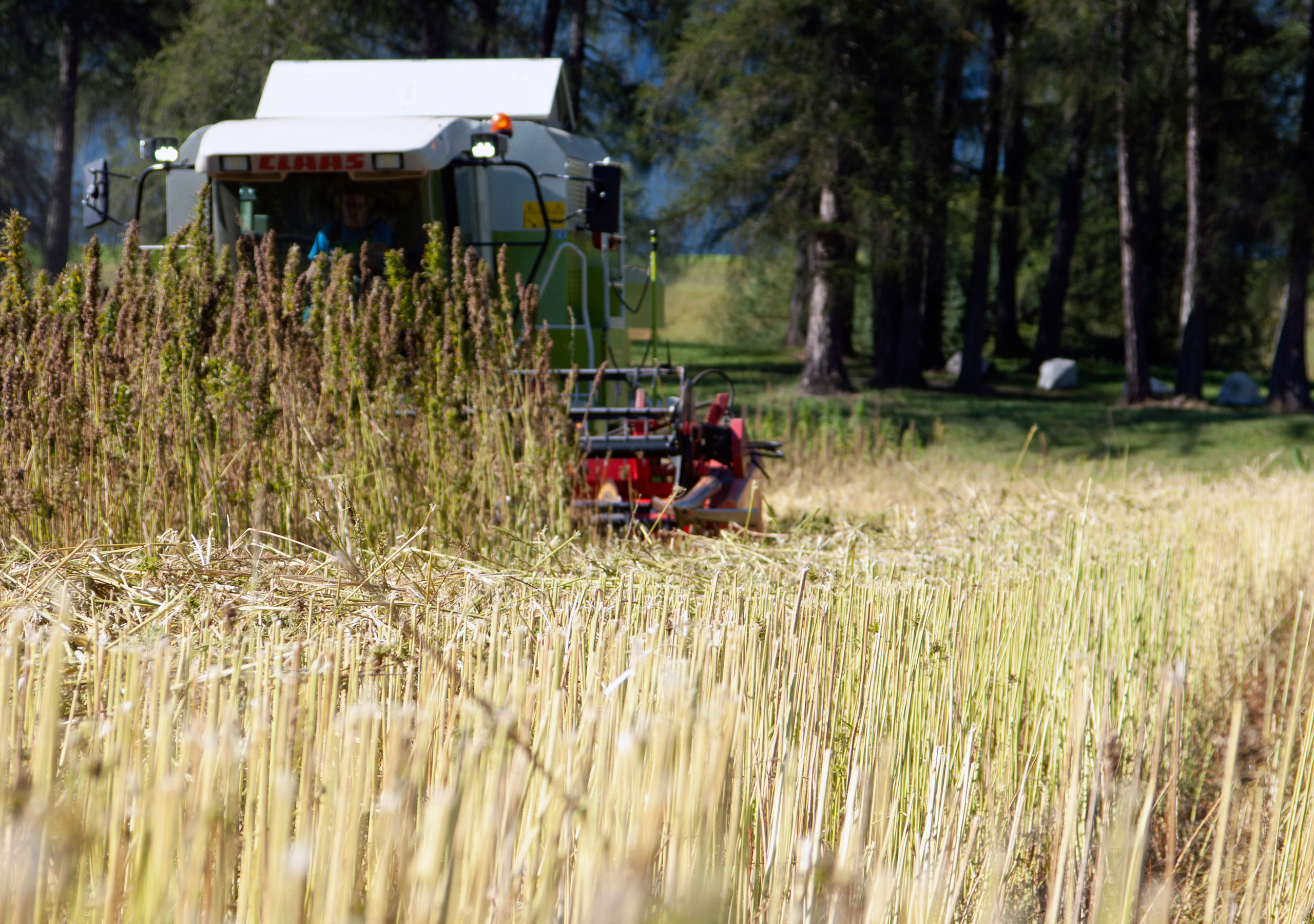 sona-start-ernte-2560x1800px